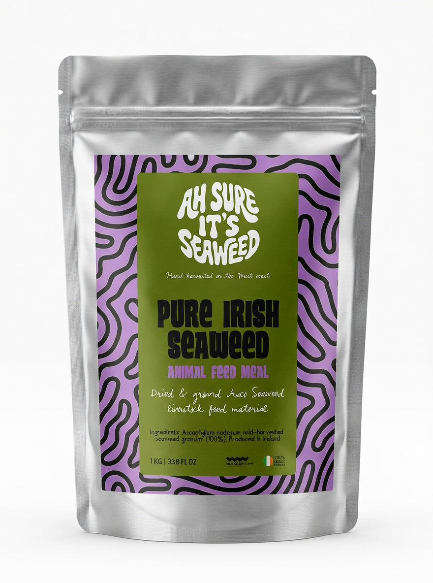 Natural Seaweed Animal Feed