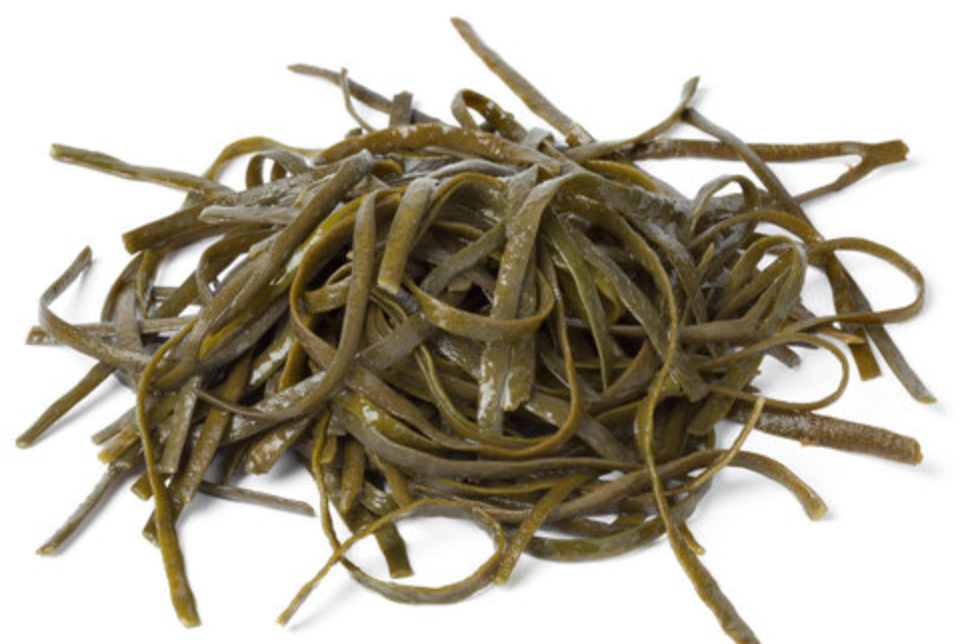 Dried sea spaghetti (Himanthalia elongata) Irish edible seaweed