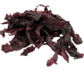Dried dulse dillisk (Palmaria palmata) Irish edible seaweed